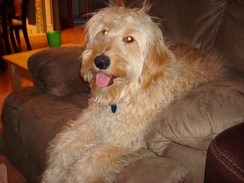 BobBarker