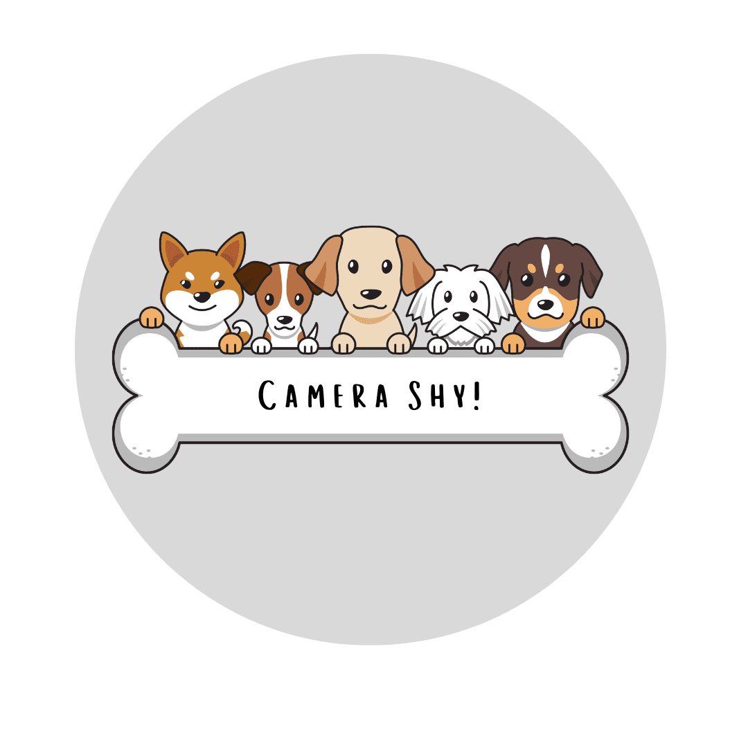 CameraShy_1_