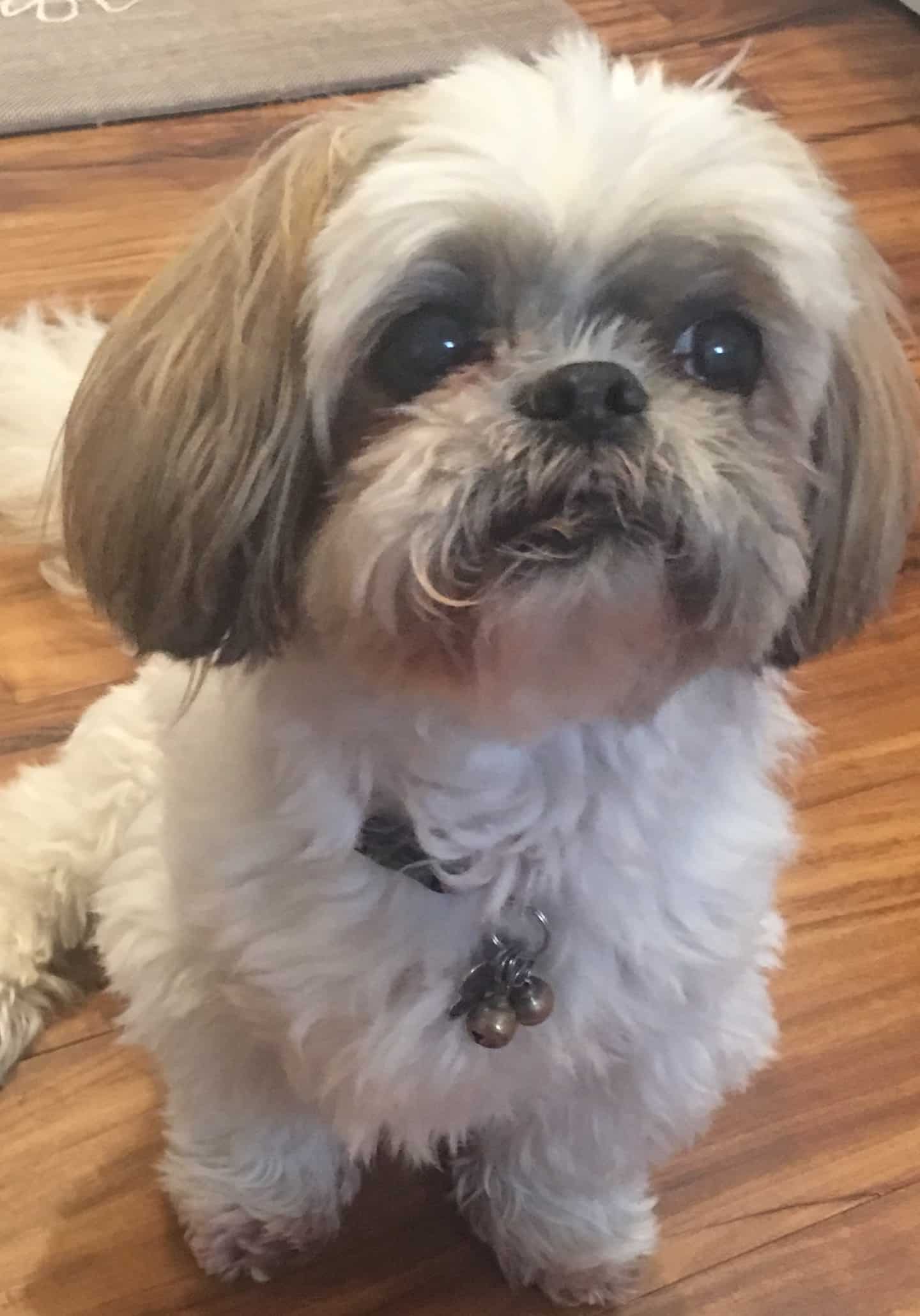 Ruby