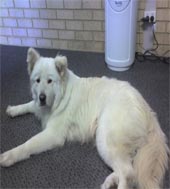 Zeus Picture
