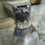 spanky