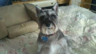 spanky